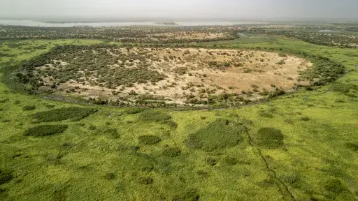 Aerial view of a dry, sparsely vegetated island surrounded by bright green wetlands and shallow water, with a hazy horizon in the distance.